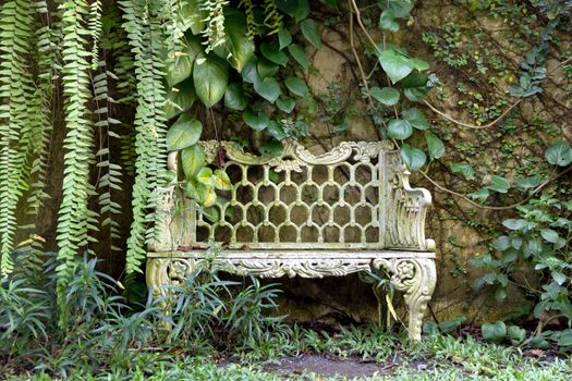 Bench in the garden