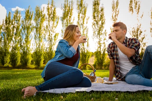 Shot of a beautiful couple on a picnic and making a toast