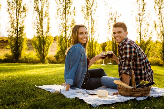 Shot of a happy couple enjoying a day in the park and making a toast