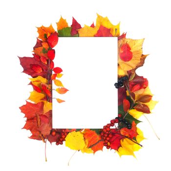 Autumn leaves frame with white paper isolated on white background