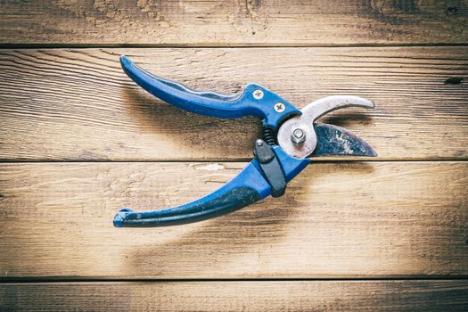 Group of  old oxide vintage tools. Scissors