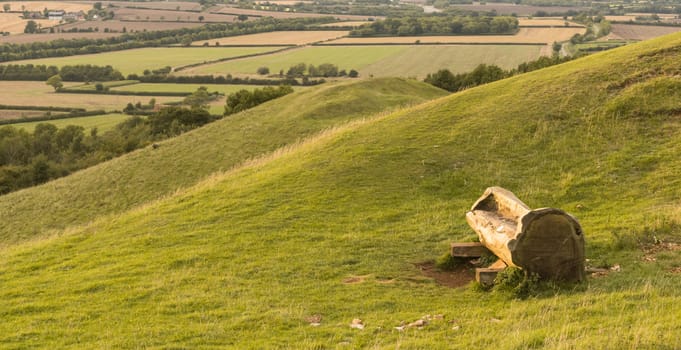 a chair craved inside a tree, looking at charming British coutryside.