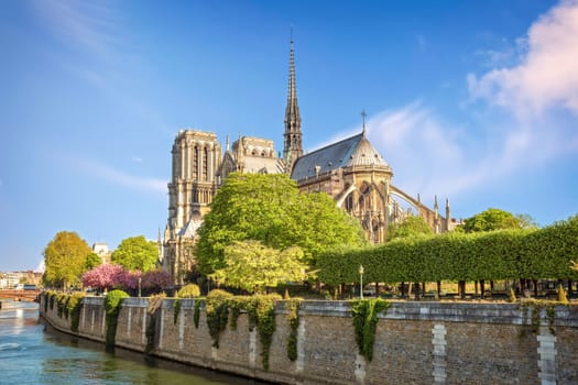 View of Cathedral Notre Dame de Paris on a sunny day
