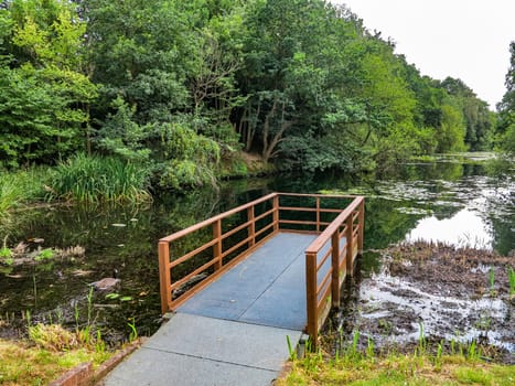 A small dock over a lake with trees surrounding