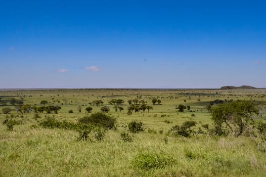 View of the Tsavo East savannah in Kenya with the mountains in the background