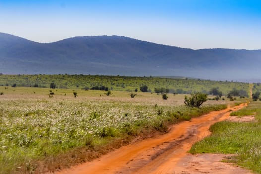 View of the Tsavo East savannah in Kenya with the mountains in the background