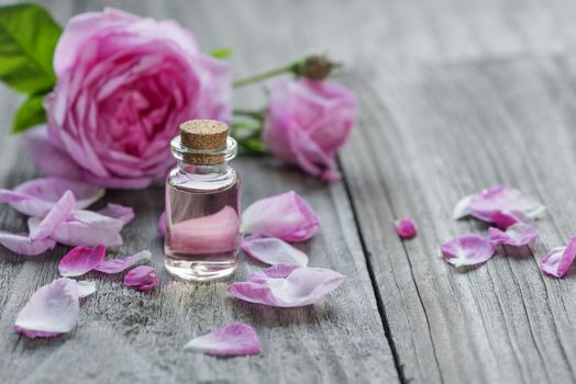 Glass vial with rose essential oil and flower of pink rose on a wooden background