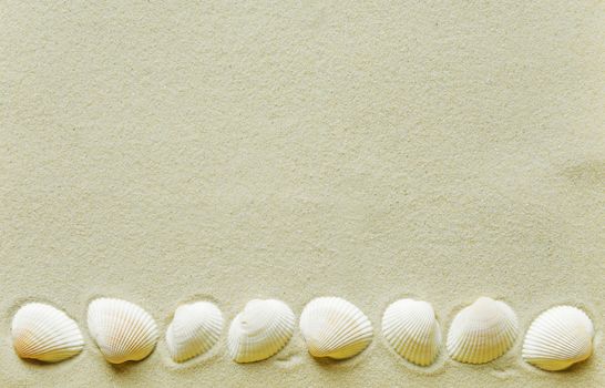 Border of seashells on the background of sea sand, with space for text