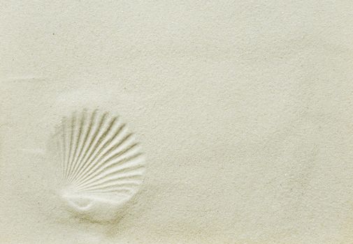 Beautiful background: Scallop shell imprint on clean sea sand, with space for text