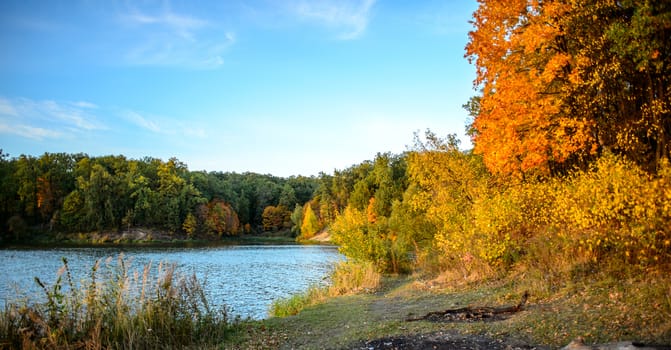 Colorful autumn landscape on a sunny day with trees with water and clouds