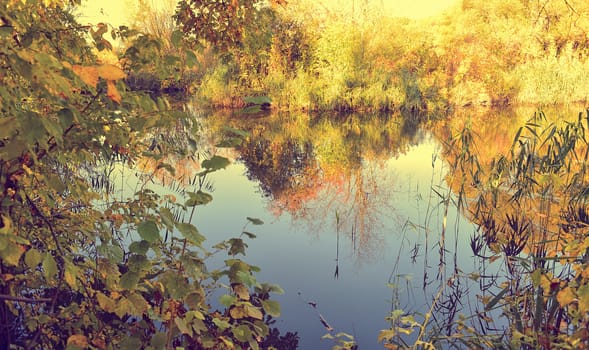 Colorful autumn landscape on a sunny day with trees with water and clouds