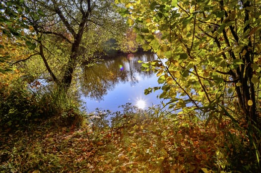 Colorful autumn landscape on a sunny day with trees with water and clouds