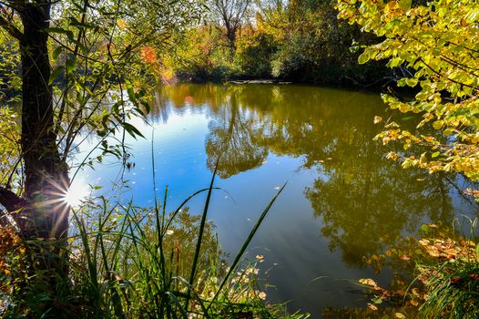 Colorful autumn landscape on a sunny day with trees with water and clouds