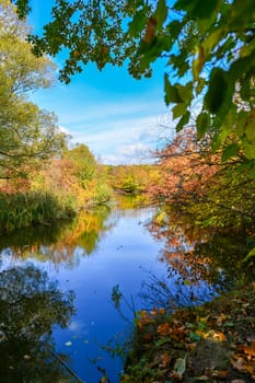 Colorful autumn landscape on a sunny day with trees with water and clouds
