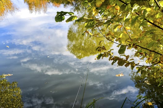 Colorful autumn landscape on a sunny day with trees with water and clouds