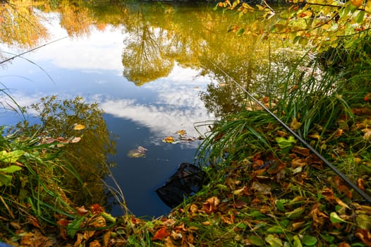Colorful autumn landscape on a sunny day with trees with water and clouds