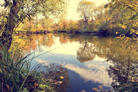 Colorful autumn landscape on a sunny day with trees with water and clouds