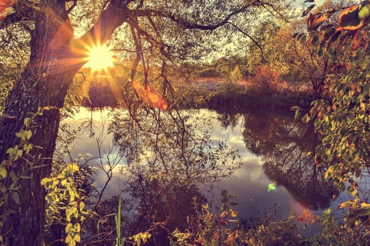 Colorful autumn landscape on a sunny day with trees with water and clouds