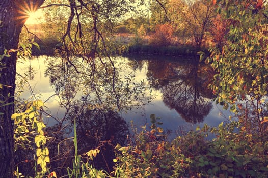 Colorful autumn landscape on a sunny day with trees with water and clouds