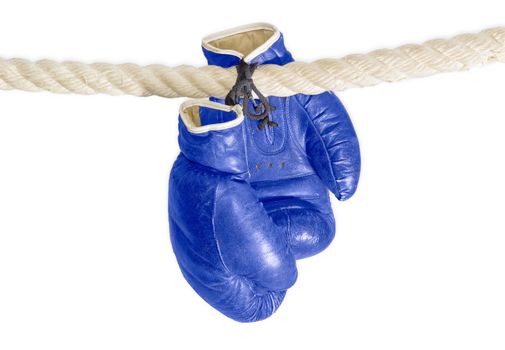 Old worn leather blue boxing gloves, that hang on a laces on the rope of a boxing ring on a white background
