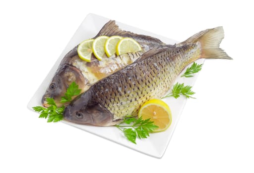 Common carp and  mirror carp with peeled scales and prepared for cooking, lemon slices and parsley twigs on the white square dish on a white background
