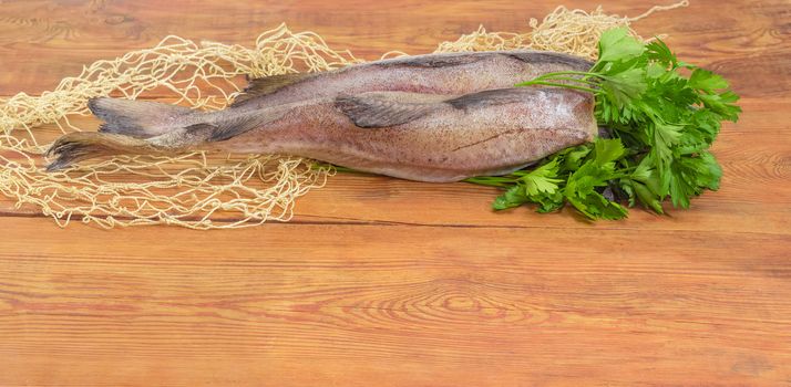 Two uncooked carcasses of the red hake without of head and twigs of parsley on the fishing net on a dark wooden surface
