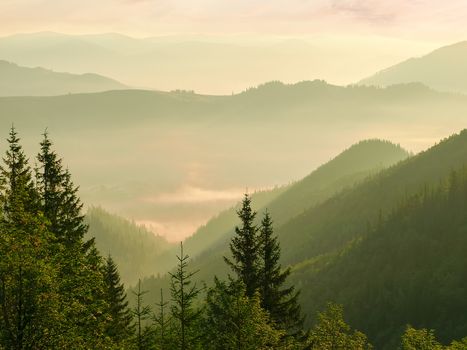Mountain ranges and valley filled  with fog with trees in the foreground at sunrise
