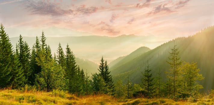 Panorama of the mountain valley filled  with fog with meadow and trees in the foreground at sunrise
