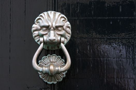 Antique lion door knocker on a black wooden door in the Netherlands