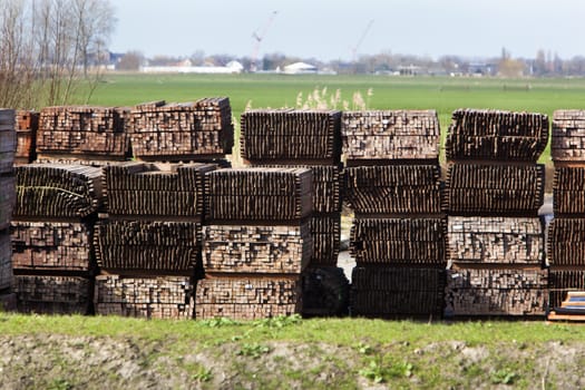 Industrial storage of piles hardwood 