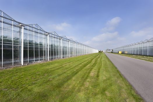 Greenhouses and an asphalt road in Westland in the Netherlands