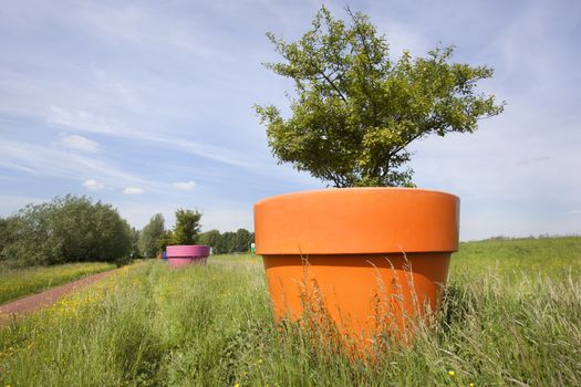 Huge flowerpots along a bicycle path in the Netherlands