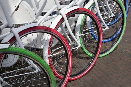 White bicycles with colorful tires in a row in the Netherlands