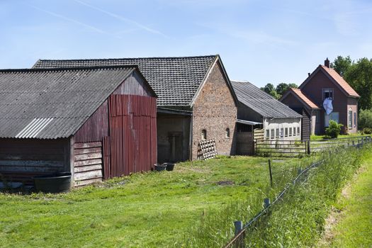 Farm and barns in a row in Buren in the Netherlands