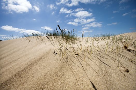 Sand dune with some grass and a nice blue sky with a few clouds