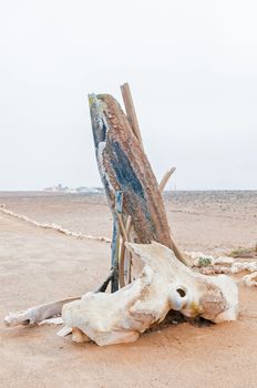 Parts of a whale skeleton at Cape Cross
on the Skeleton Coast of Namibia