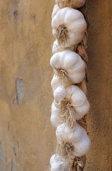 String of garlic bulbs on a wall