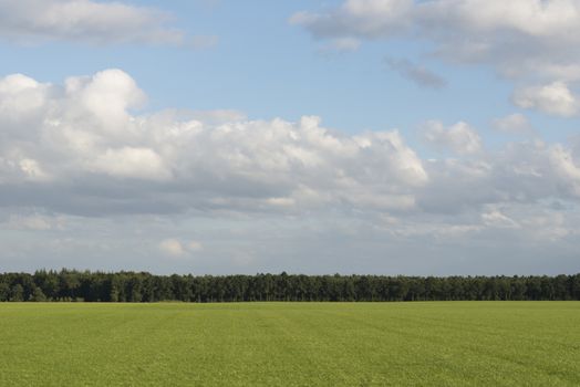 Cloudy skies above extensive lawns with a forest in the Netherlands as a background picture
