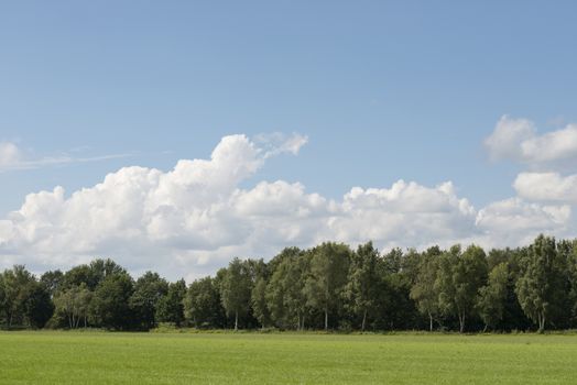 Cloudy skies above extensive lawns with a forest in the Netherlands as a background picture
