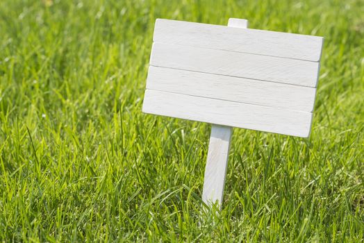 White wooden plate to place text in a sunny meadow
