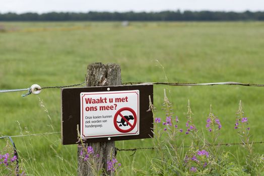 Join us watching? Sign against pathogenic dog poo near pasture for cows
