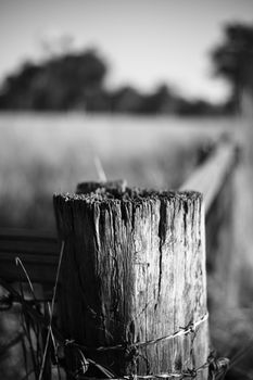 Sharp and rusted timber and metal fence in the countryside of Peak Crossing in Queensland.