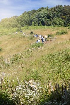 Tourists walking in the meadow in mountains at kew mae pan, chiang mai, north of thailand
