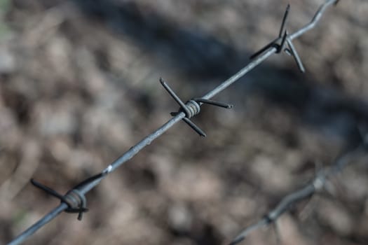 Piece of a barbed wire - small depth of sharpness