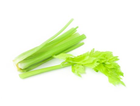 Closeup fresh celery slice on white background, Raw material for make cooking