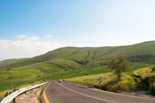 Road in the Golan Heights , early spring .