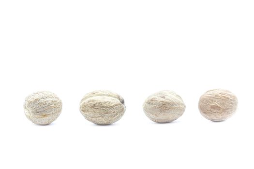 Nutmeg isolated on white background close-up.