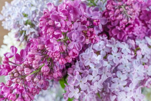 Beautiful wallpaper: lush multicolored bouquet of lilac flowers close-up