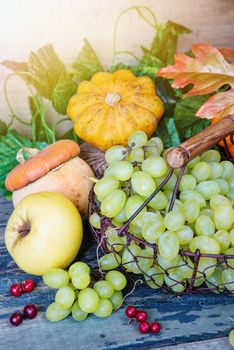 Various fruits in a basket: green grapes and ripe apples, red cranberries, orange decorative pumpkin and squash with leaves on the wooden background