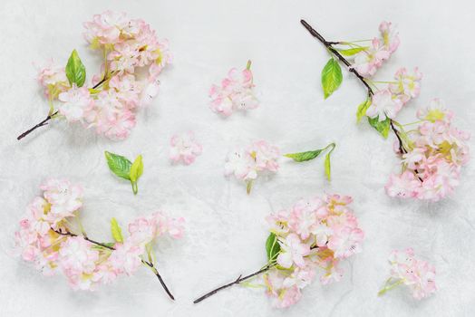 Beautiful delicate composition with pink cherry flowers on the stone background, top view, flat lay